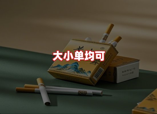 专业团队
